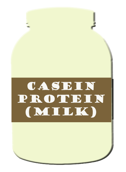 protein casein image 1