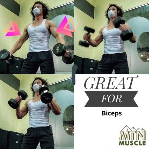 biceps - compound lifts